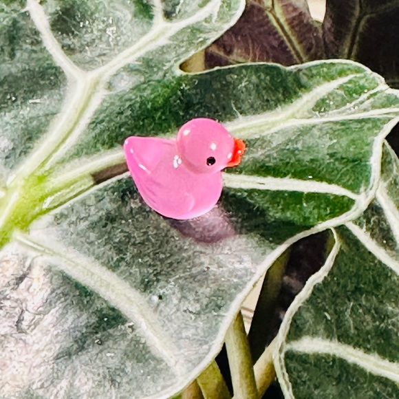 - 🍃20 pack plant magnets🍃 - Picture 12 of 15